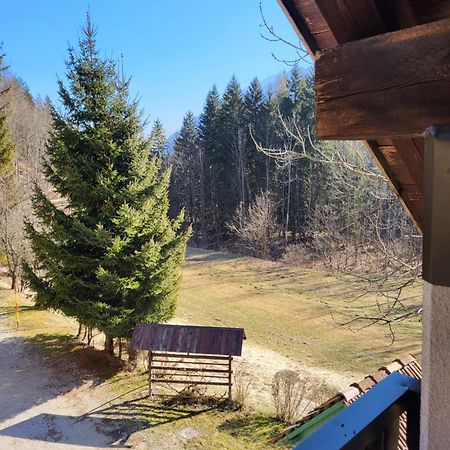 Apartment Dobnikar Kranjska Gora Buitenkant foto