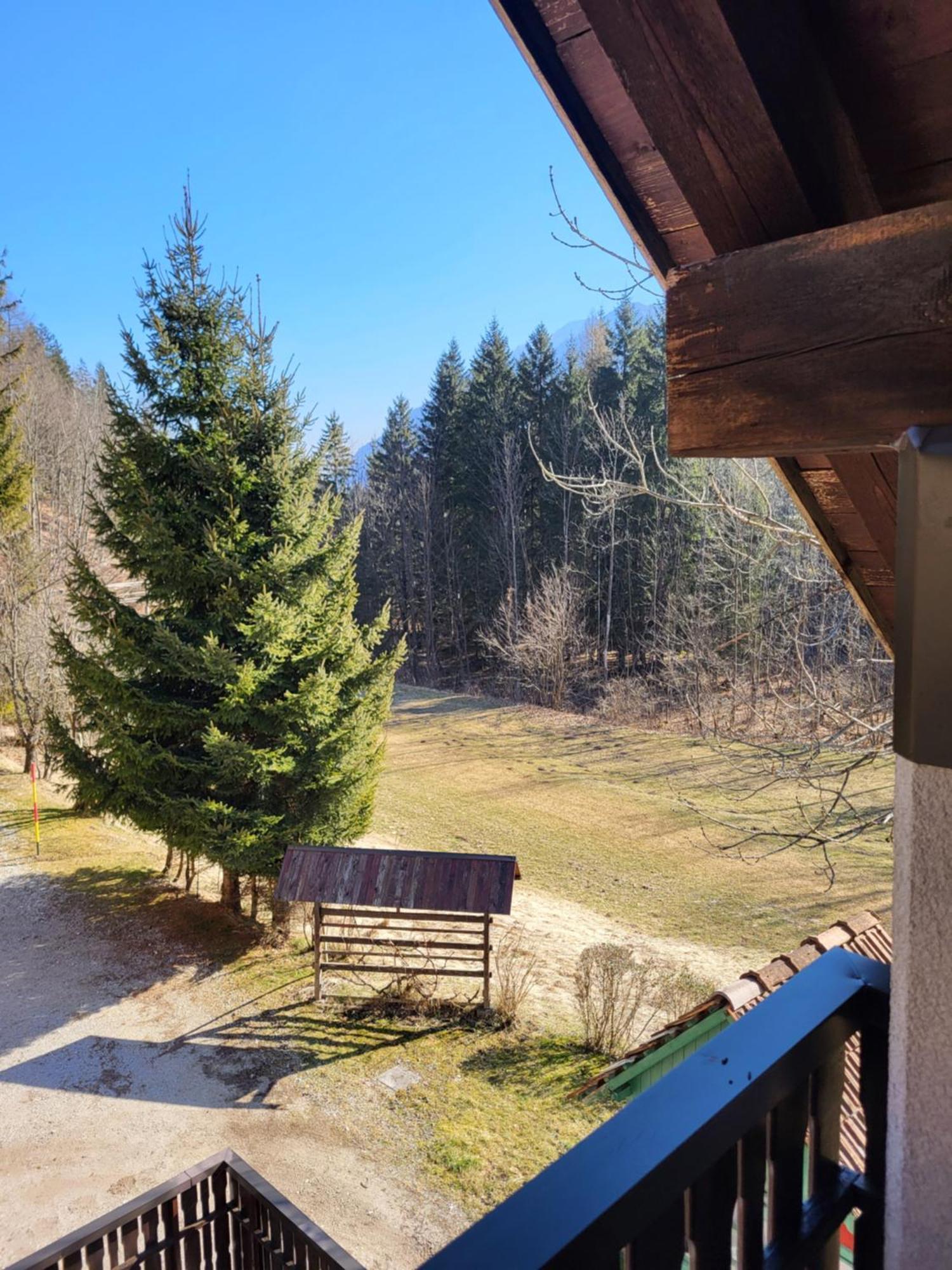 Apartment Dobnikar Kranjska Gora Buitenkant foto